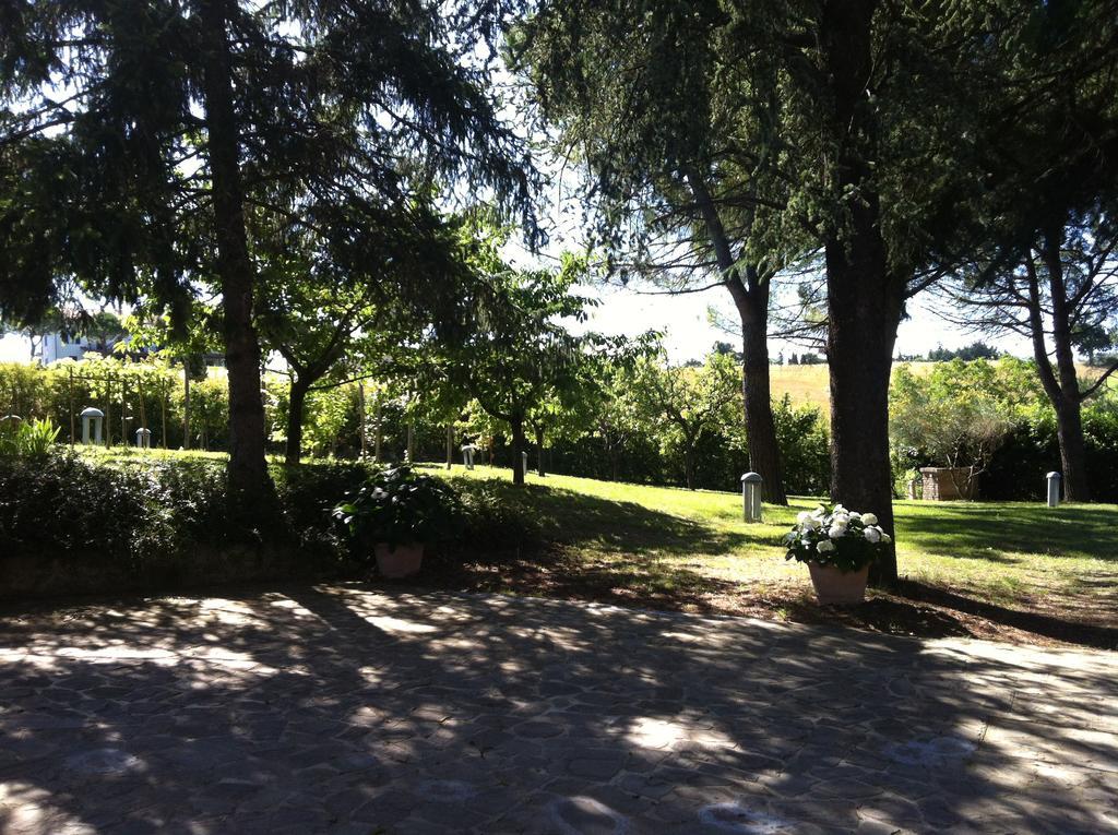Villa Nunzia Cupramontana Exterior foto